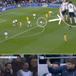 EXCLUSIVE: Xavi Simons voices strong support for Roberto De Zerbi in a passionate interview just hours after the Brighton loss—his comments have lifted fan optimism